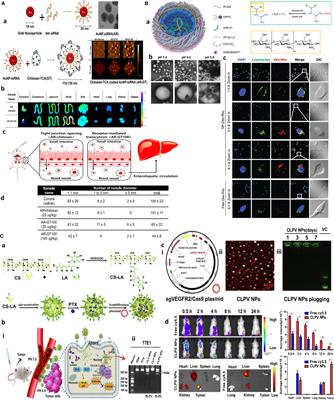 Tumor microenvironment penetrating chitosan nanoparticles for elimination of cancer relapse and minimal residual disease